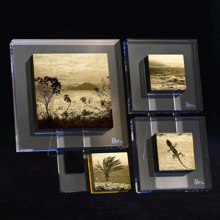 Creazioni fotografiche su oro 24k, legno e plexiglass