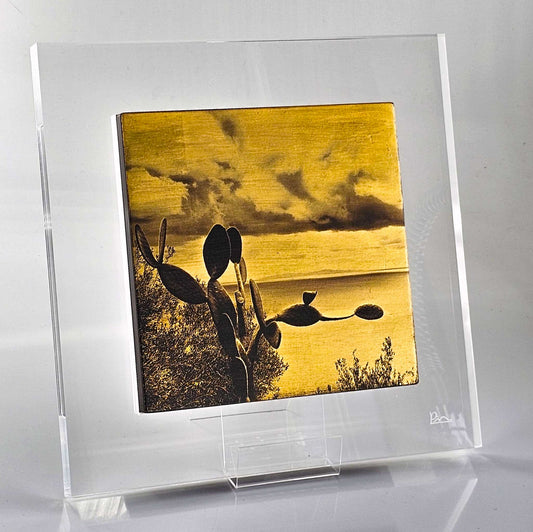 Oro-graphia "Fichi d'India"-Fotografia Fine Art con Foglia Oro 24k di Pinella Palmisano